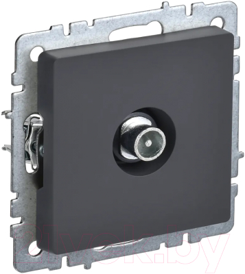 Розетка IEK Brite BR-A10-P-K53 - фото