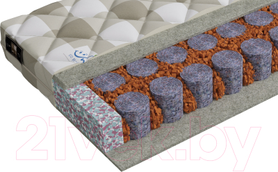 Детский матрас Mr. Mattress Sunny L 70x160 - фото