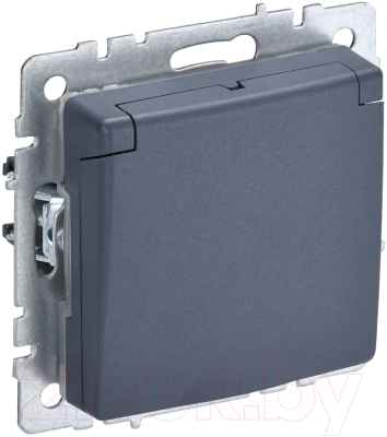 Розетка IEK Brite BR-R16-16-K35 - фото