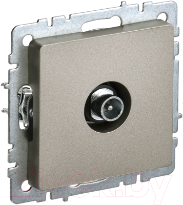 Розетка IEK Brite BR-A10-P-K37 - фото