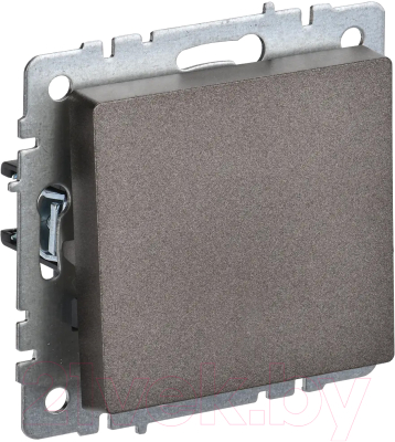 Выключатель IEK Brite BR-V14-0-10-K45 - фото