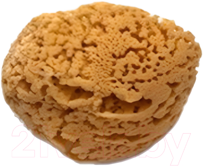 Губка для декоративной штукатурки Stmdecor M87 - фото