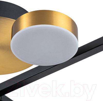 Люстра ESCADA 10266/8 (черный/латунь)