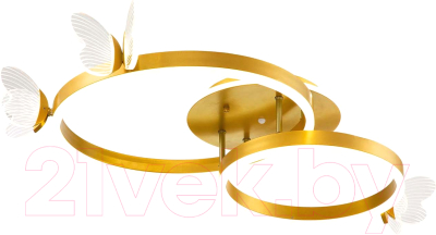 Потолочный светильник ESCADA 10225/2LED BL - фото