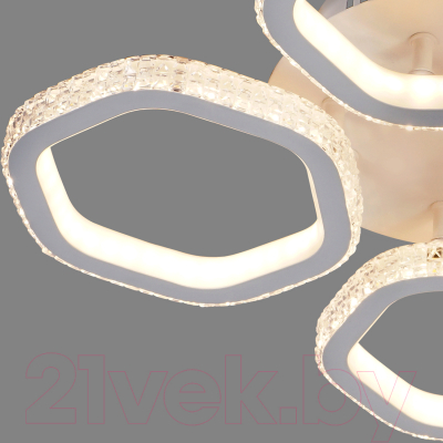 Потолочный светильник ESCADA 10263/4LED