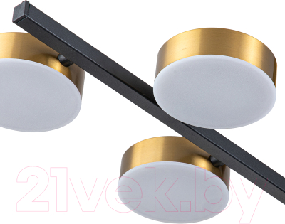 Потолочный светильник ESCADA 10266/6LED