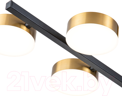 Потолочный светильник ESCADA 10266/6LED