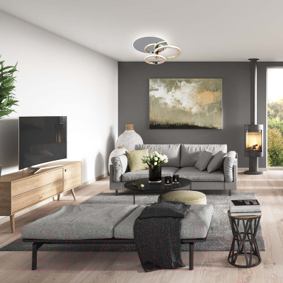 Потолочный светильник ESCADA 10213/2LED BL (хром/золото)