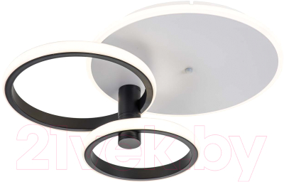 Потолочный светильник ESCADA 10213/2LED BL - фото