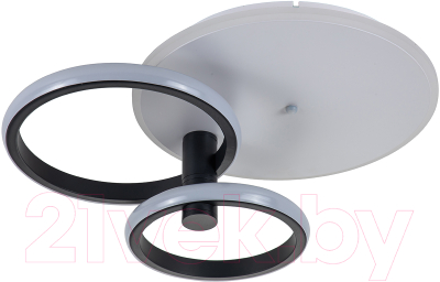 Потолочный светильник ESCADA 10213/2LED BL