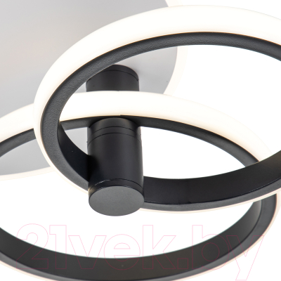 Потолочный светильник ESCADA 10213/2LED BL