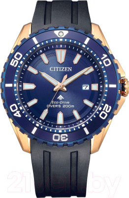 Часы наручные мужские Citizen BN0196-01L - фото