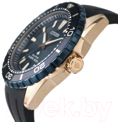 Часы наручные мужские Citizen BN0196-01L
