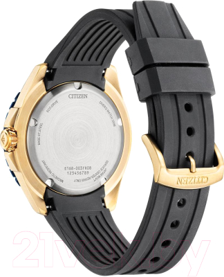 Часы наручные мужские Citizen BN0196-01L
