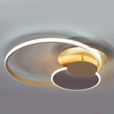 Потолочный светильник ESCADA 10247/3LED