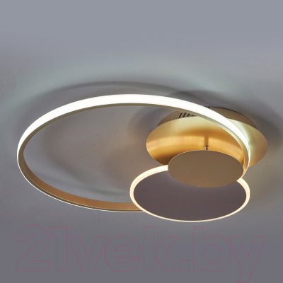 Потолочный светильник ESCADA 10247/3LED