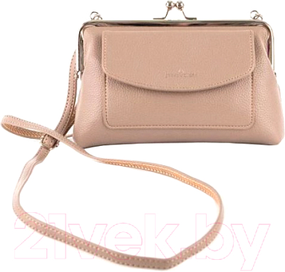 Сумка Passo Avanti 920-VH701-LGR (светло-бежевый) - фото