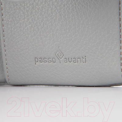 Портмоне Passo Avanti 920-Y1802B-BLU