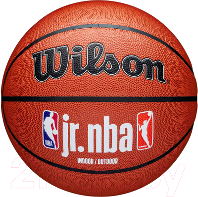 Баскетбольный мяч Wilson JR.NBA Fam Logo Indoor Outdoor / WZ2009801XB6 - фото