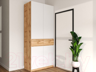 Шкаф Eligard Locarno 2 (дуб натуральный/белый)