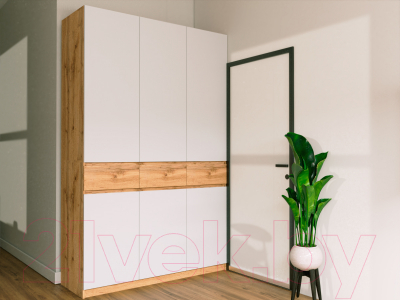 Шкаф Eligard Locarno 3 (дуб натуральный/белый)