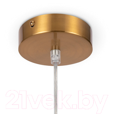 Потолочный светильник Freya Focus FR5220PL-01G5