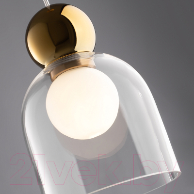 Потолочный светильник Freya Focus FR5220PL-01G5