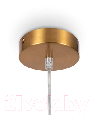 Потолочный светильник Freya Focus FR5220PL-01G6