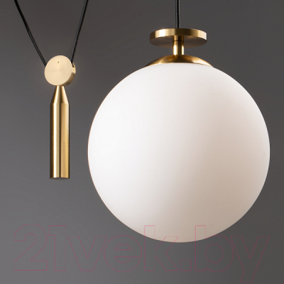 Потолочный светильник Freya Impulse FR5221PL-01BS