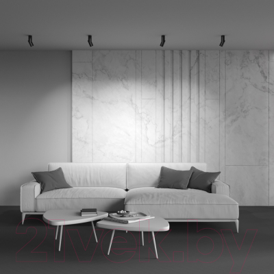 Потолочный светильник Maytoni Dafne C027CL-L10B4K