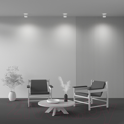 Потолочный светильник Maytoni Planet C009CW-L12W4K