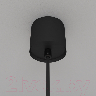 Потолочный светильник Maytoni Luna P039PL-5W4K-10-B