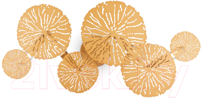 Бра Maytoni Lovetann MOD082WL-04G