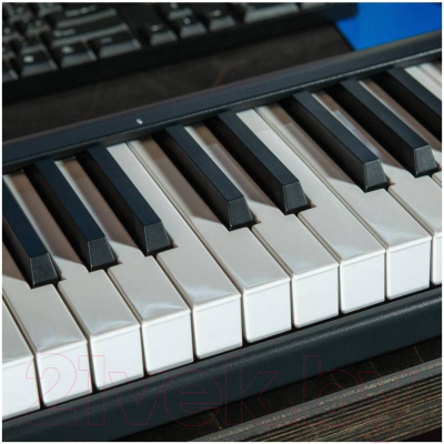 MIDI-клавиатура iCON Keyboard 4X (черный)