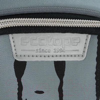 Школьный рюкзак Ecotope Kids Венсдей / 057-22003/1-21-GRY (серый)
