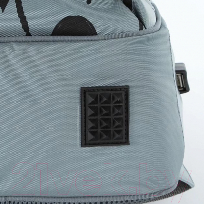 Школьный рюкзак Ecotope Kids Венсдей / 057-22003/1-21-GRY (серый)