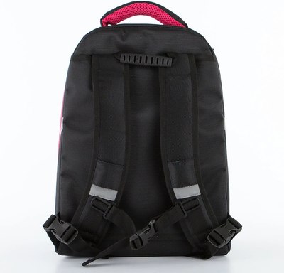 Школьный рюкзак Ecotope Kids Ролики / 057-540T-12-CLR