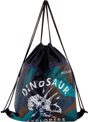 Мешок для обуви Ecotope Kids Череп / 057-M588-145-CLR - фото