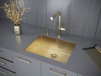 Мойка кухонная Paulmark PM215444-BG