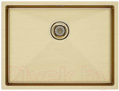 Мойка кухонная Paulmark PM215844-BG - фото