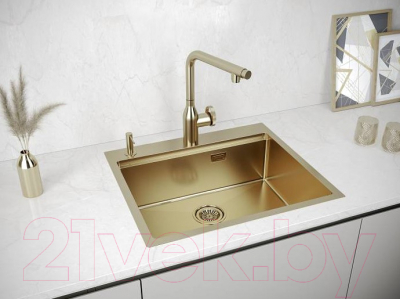 Мойка кухонная Paulmark PM705951-BG