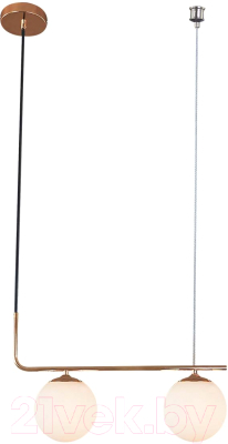 Потолочный светильник ESCADA 1163/2S (черный/золото) - фото