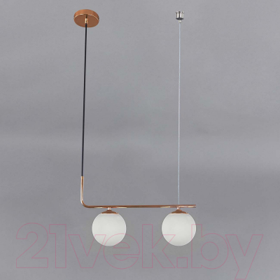 Потолочный светильник ESCADA 1163/2S (черный/золото)