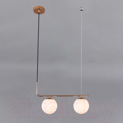 Потолочный светильник ESCADA 1163/2S (черный/золото)