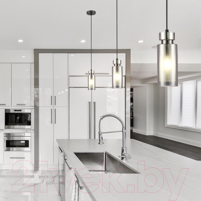 Потолочный светильник ESCADA 1115/1S (хром)