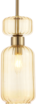 Потолочный светильник ESCADA 1141/1S