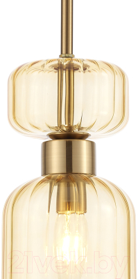 Потолочный светильник ESCADA 1141/1S