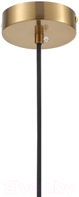 Потолочный светильник ESCADA 1141/1S (античная медь/зеленый)