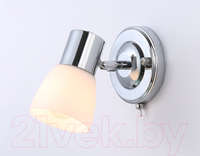 Спот Ambrella Traditional TR3961