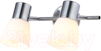 Спот Ambrella Traditional TR3963